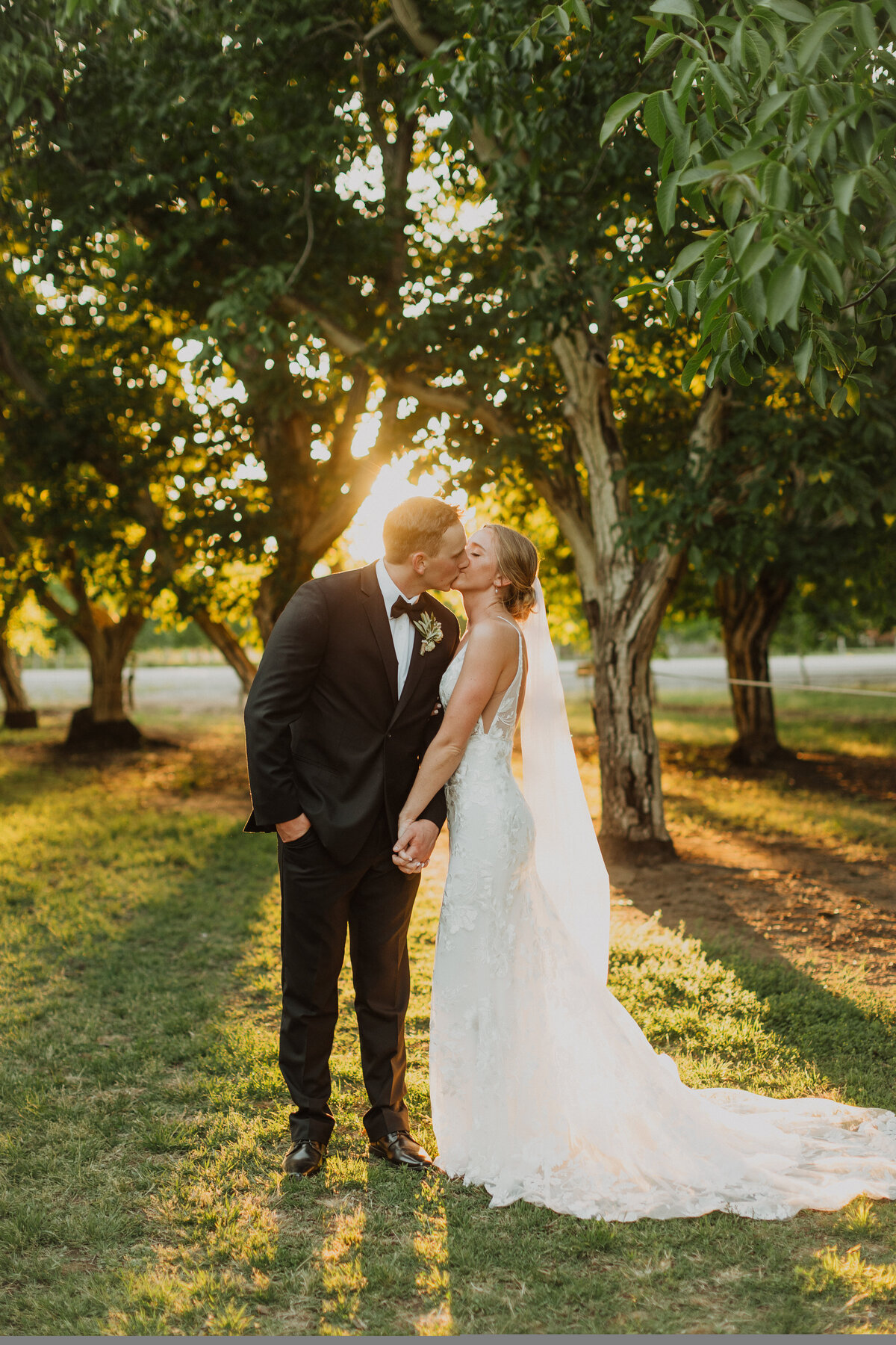 Bride and Groom portrait at sunset in a beautiful orchard