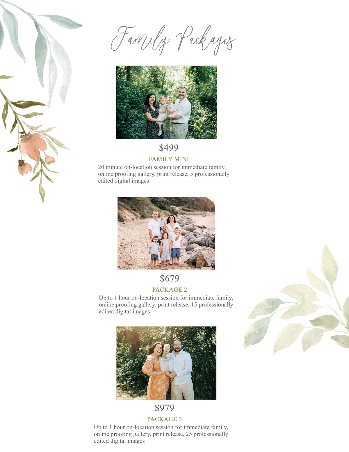 family packages copy