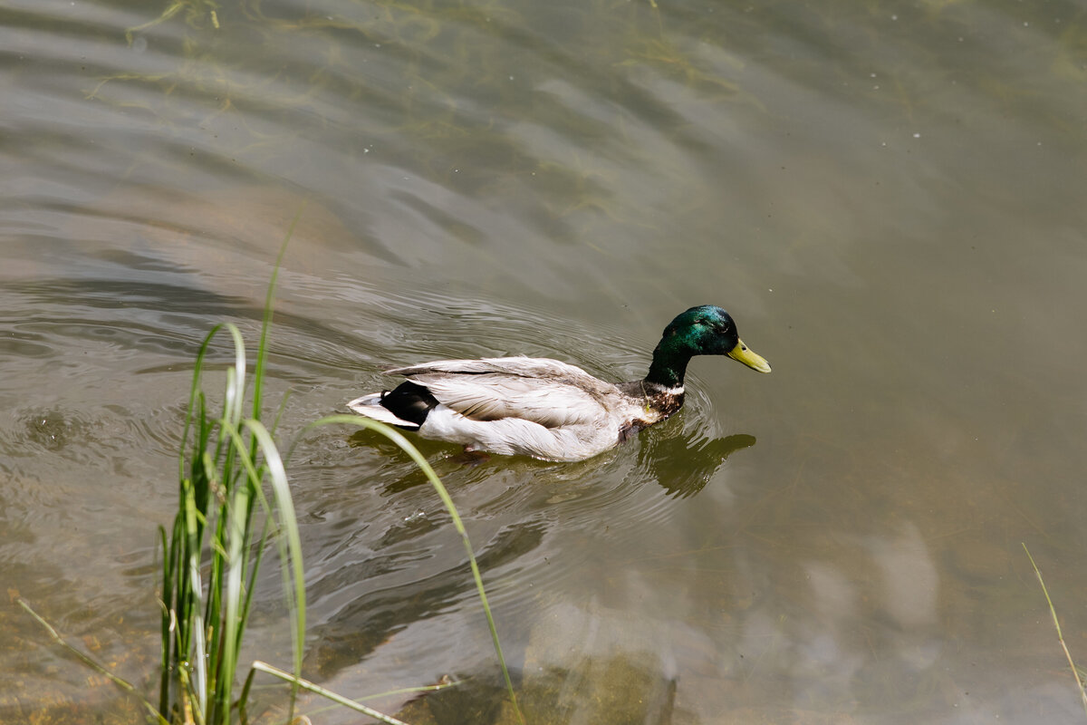 EBP_KGFULLGALLERY-746