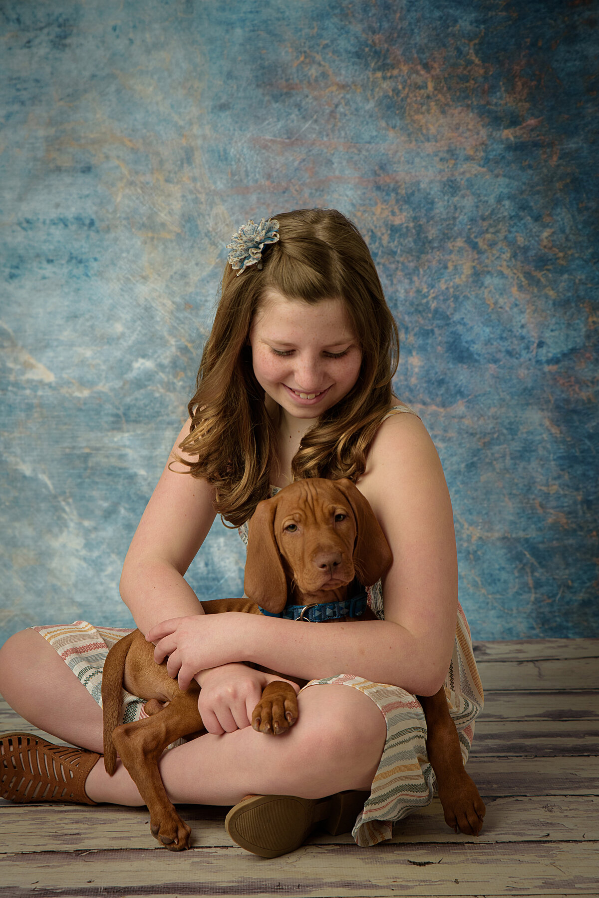 Beautiful young girl wearing a cream colored striped dress holding her Vizsla puppy in front of a blue background at my home studio near Green Bay, Wisconsin