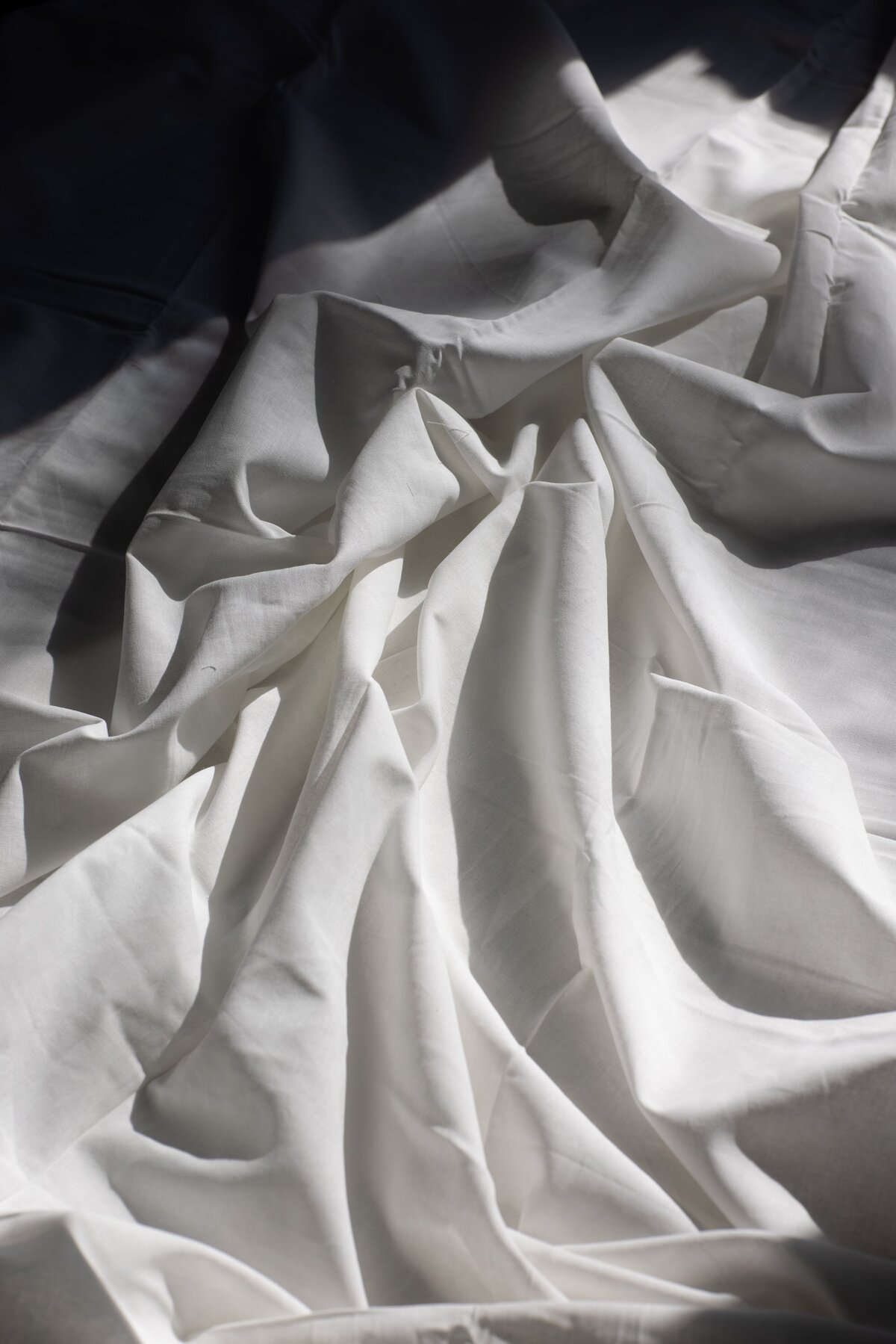 selvedgenyc_cotton_pexels-6758069