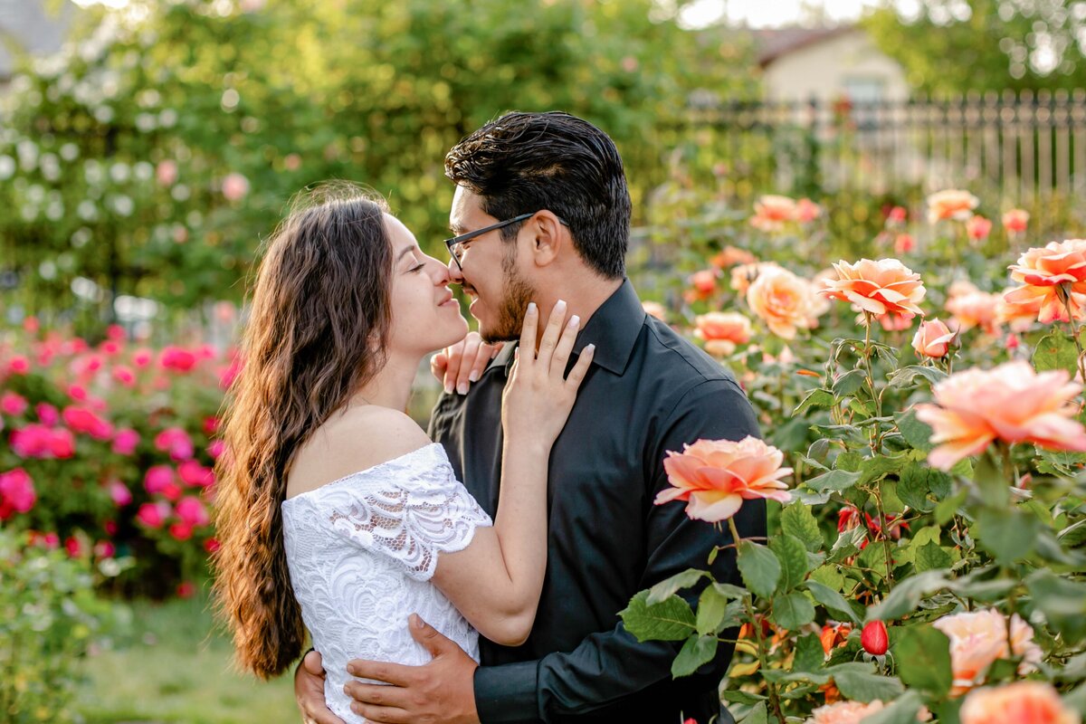 San Jose Rose Gardenl Session-18