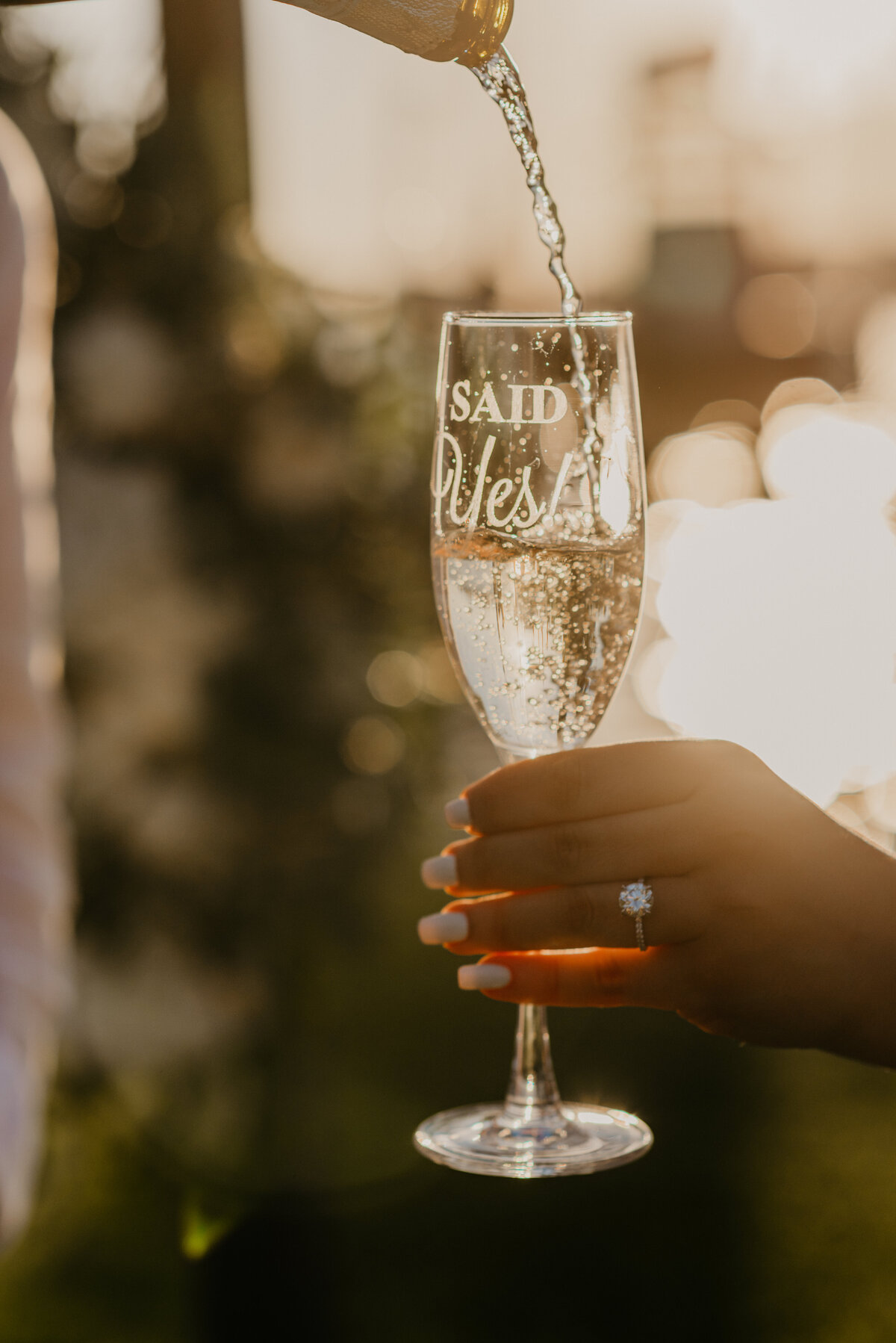 mariah-lacy-photo-florida-luxurious-proposal-chantilly-chic-celebrations-7