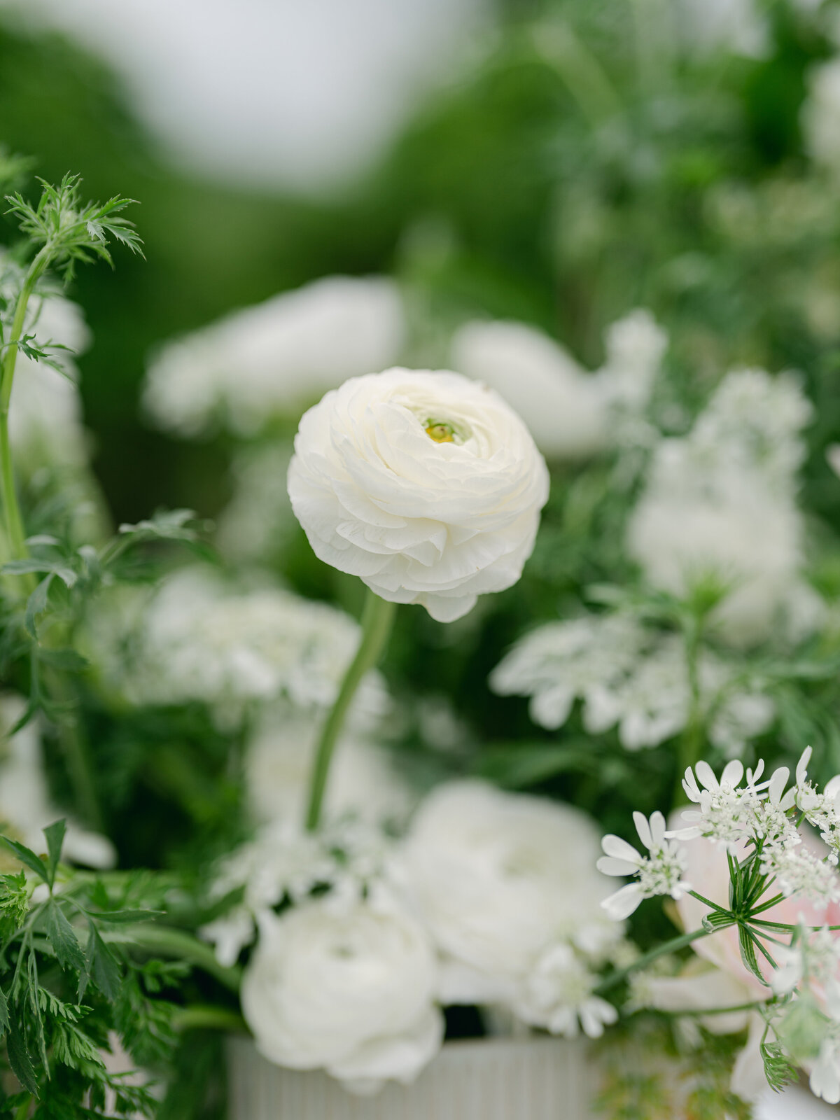 destination-wedding-planner-099