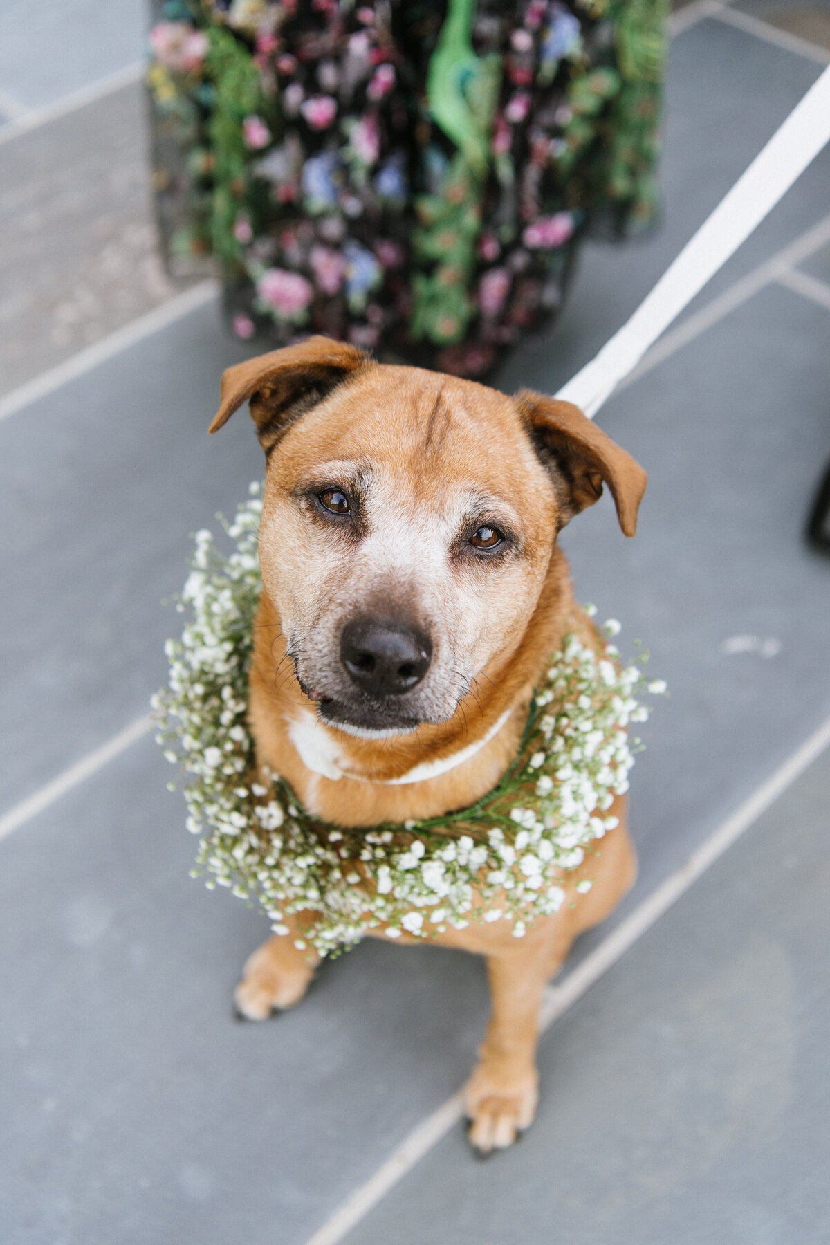 Sneakpeek-JenFarielloPhotography-38