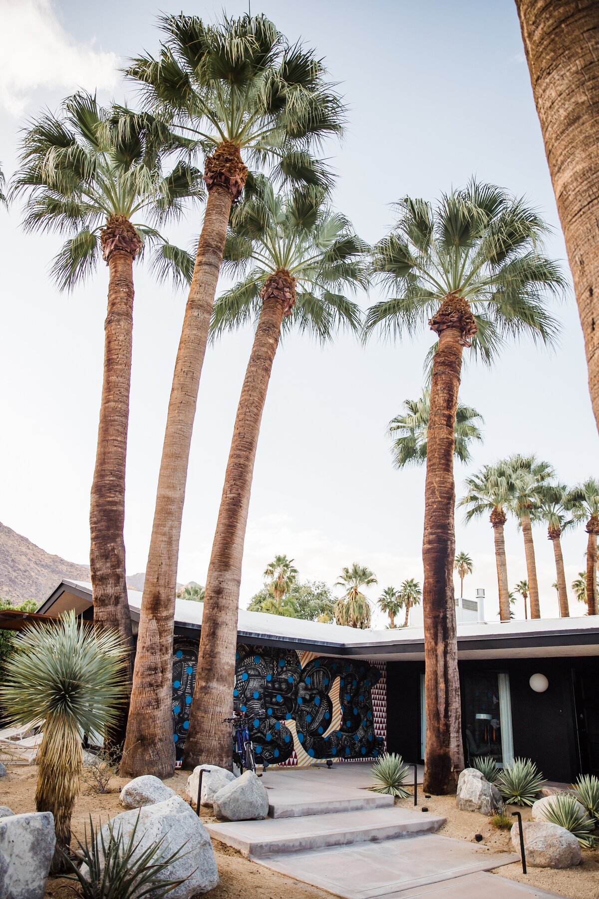AbieLivesayPhotography-PalmSpringsEngagementPhotographer-PhilKristen-14
