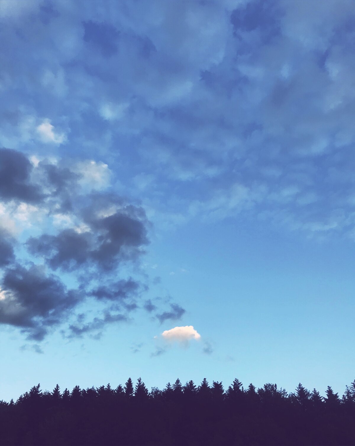 photo-output 8