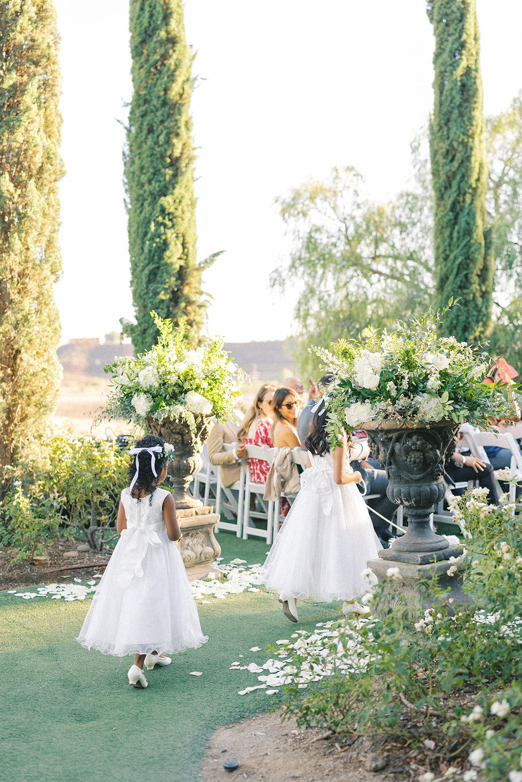 A&H Photo Co. - C&C-103