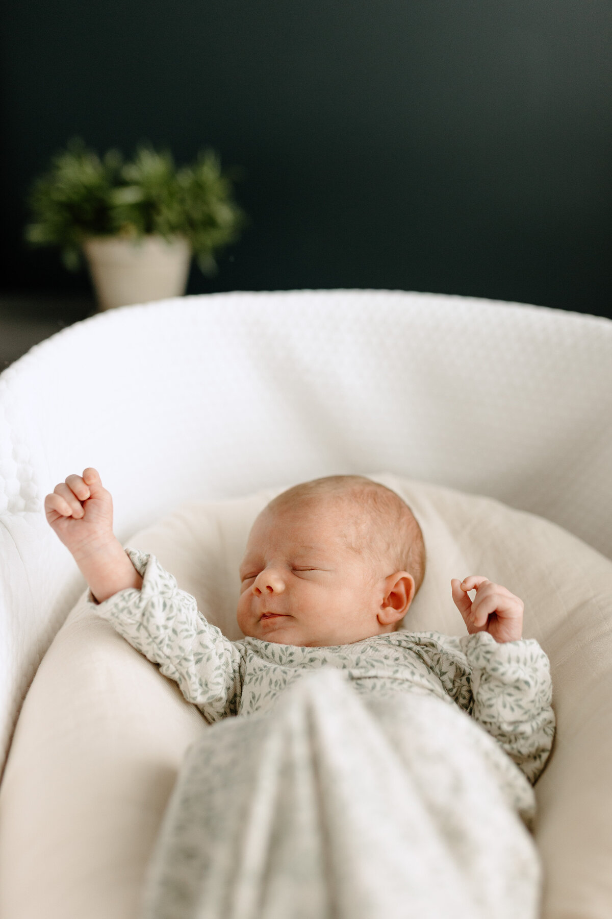 Colorado-springs-newborn-Photographer-9