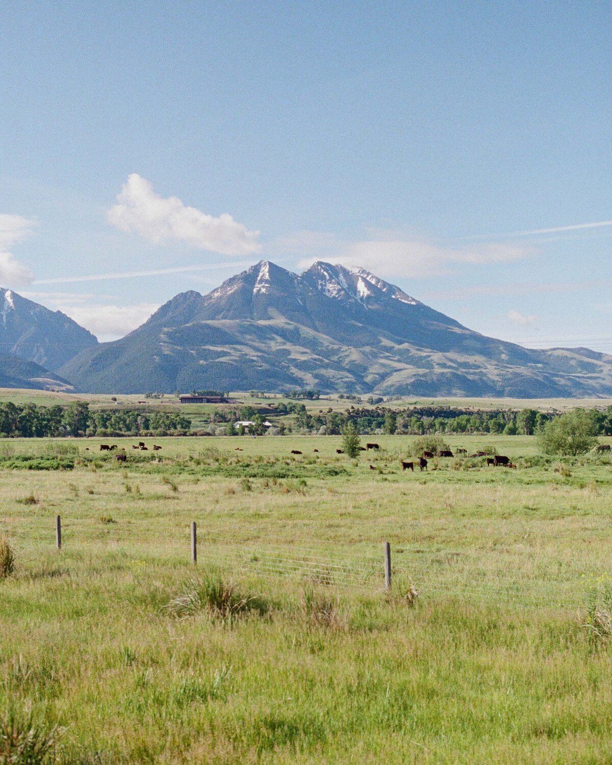 Kelley & Josh - Website Highlights