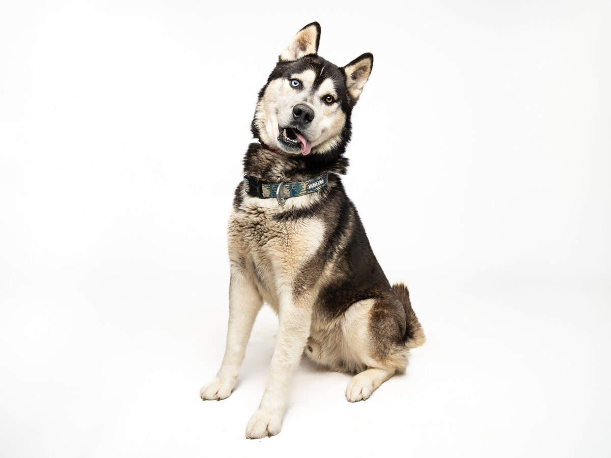Website3500-DSC01660