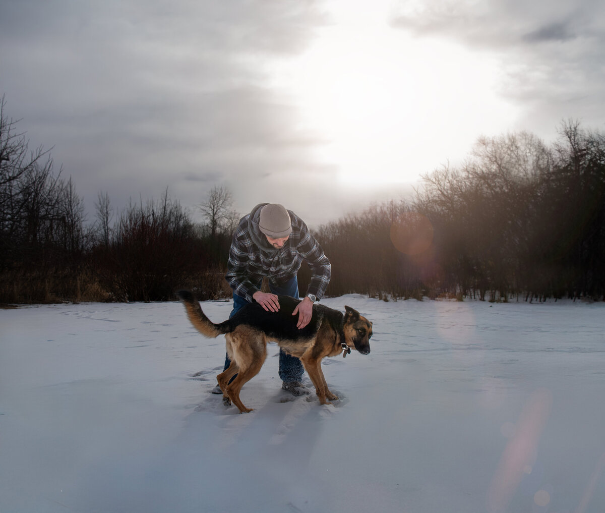 German Shepherd having a rainbow bridge photography session, legacy package at golden hour in duluth, minnesota in the snow 