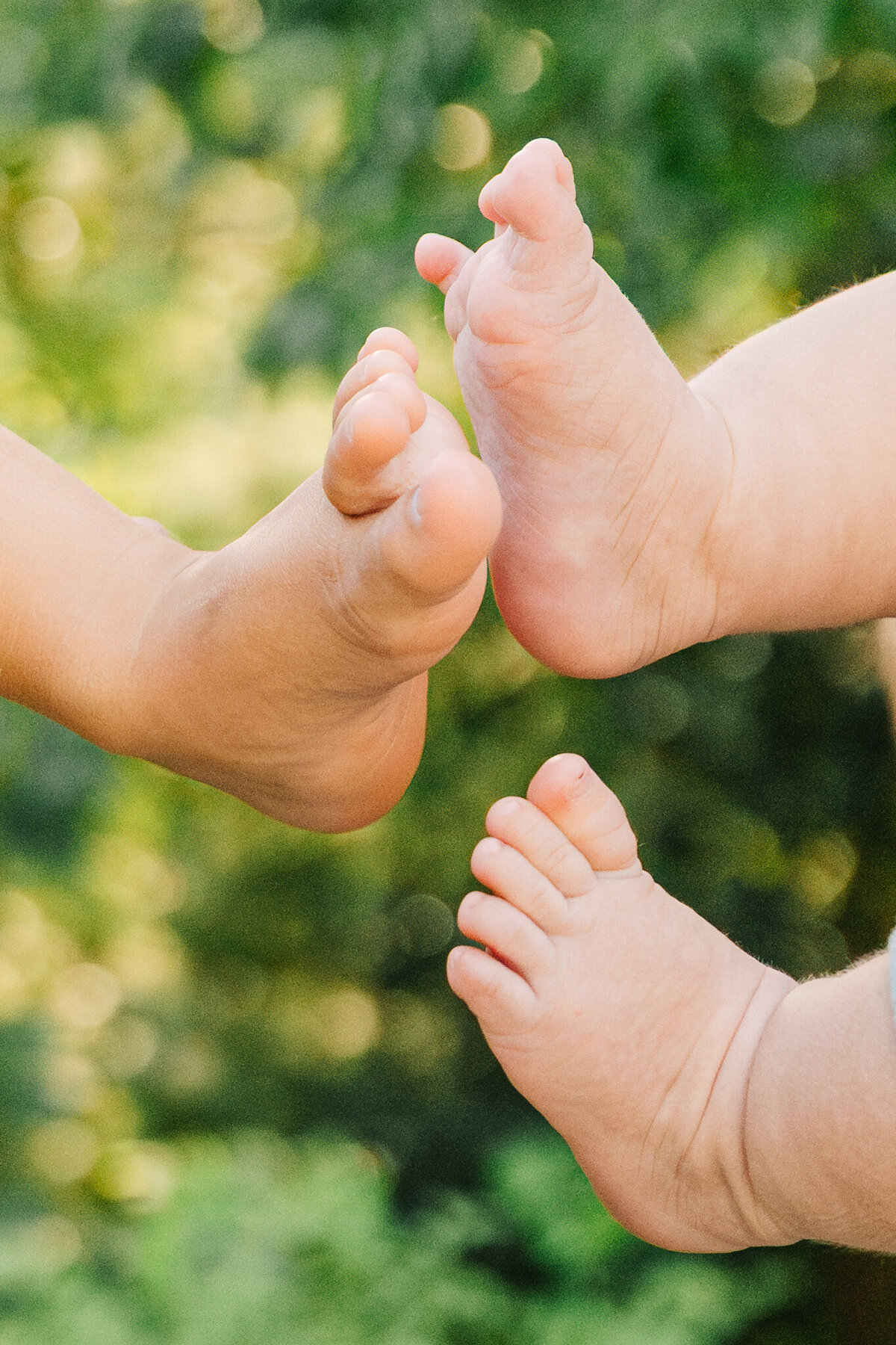 Asheville Family Photographer