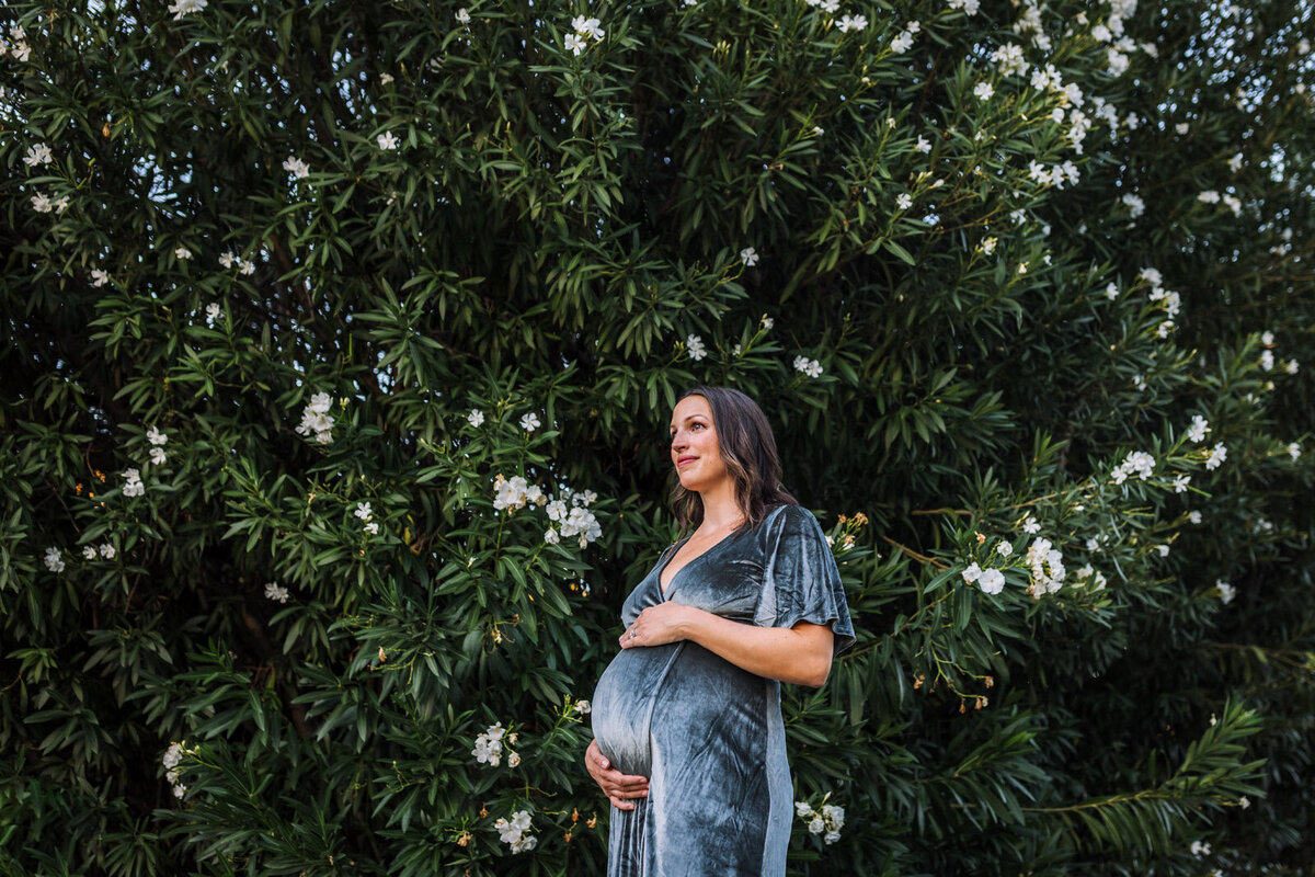 pregnant woman in blue dress touching belly and standing in front of oleander bush