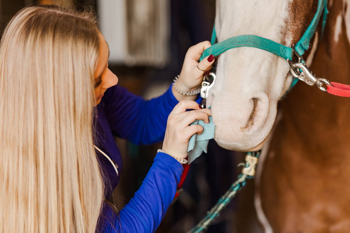 Preparing Your Horse for Photos | Amber Langerud Photography