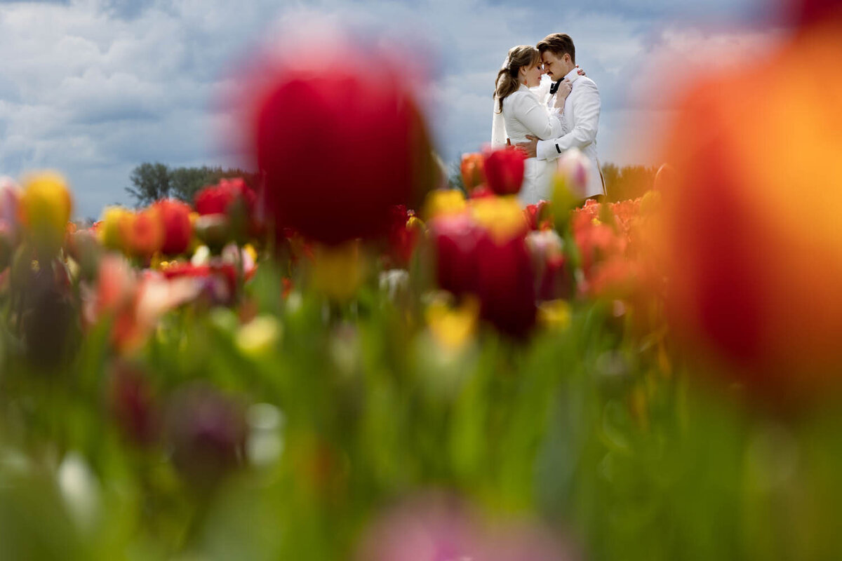 destination-wedding-amsterdam-tulips