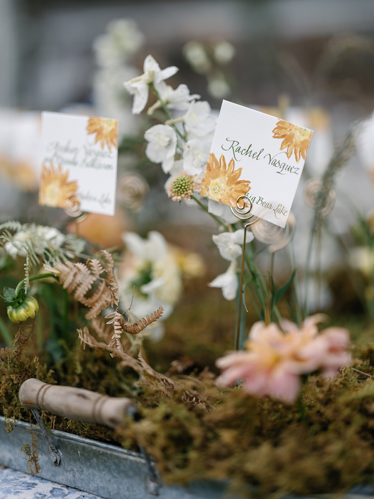 Tahoe-greagle-wedding-dejauregui-photography-48