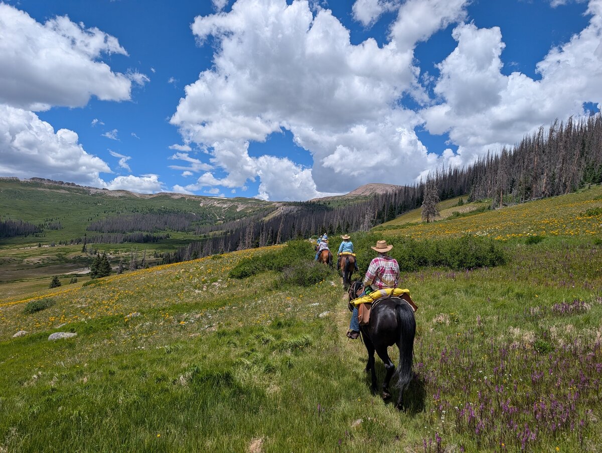 PXL_20250710_183228259.RAW-01.COVER