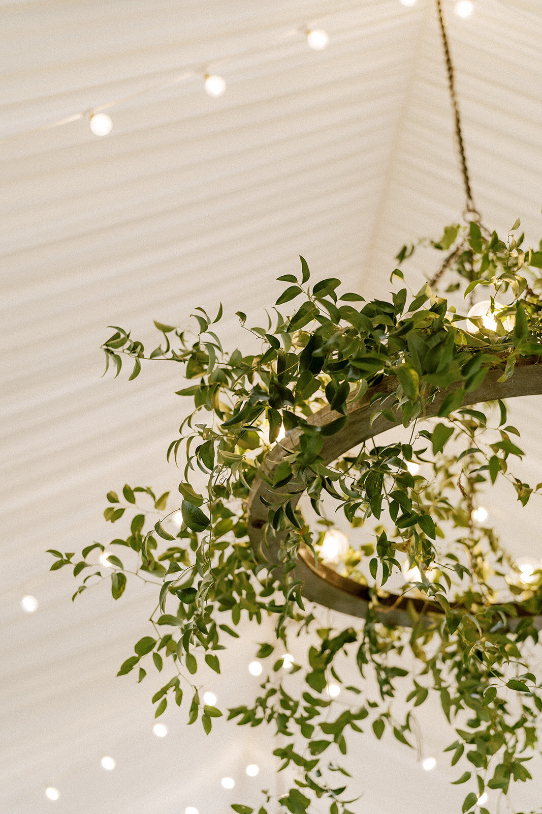 Isabelle + Renic_Wedding-588