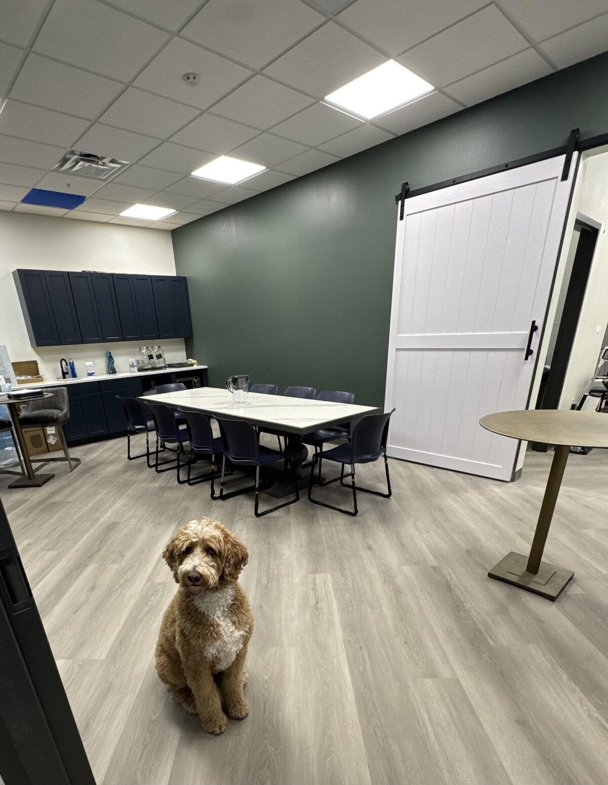 5201 breakroom with lewie