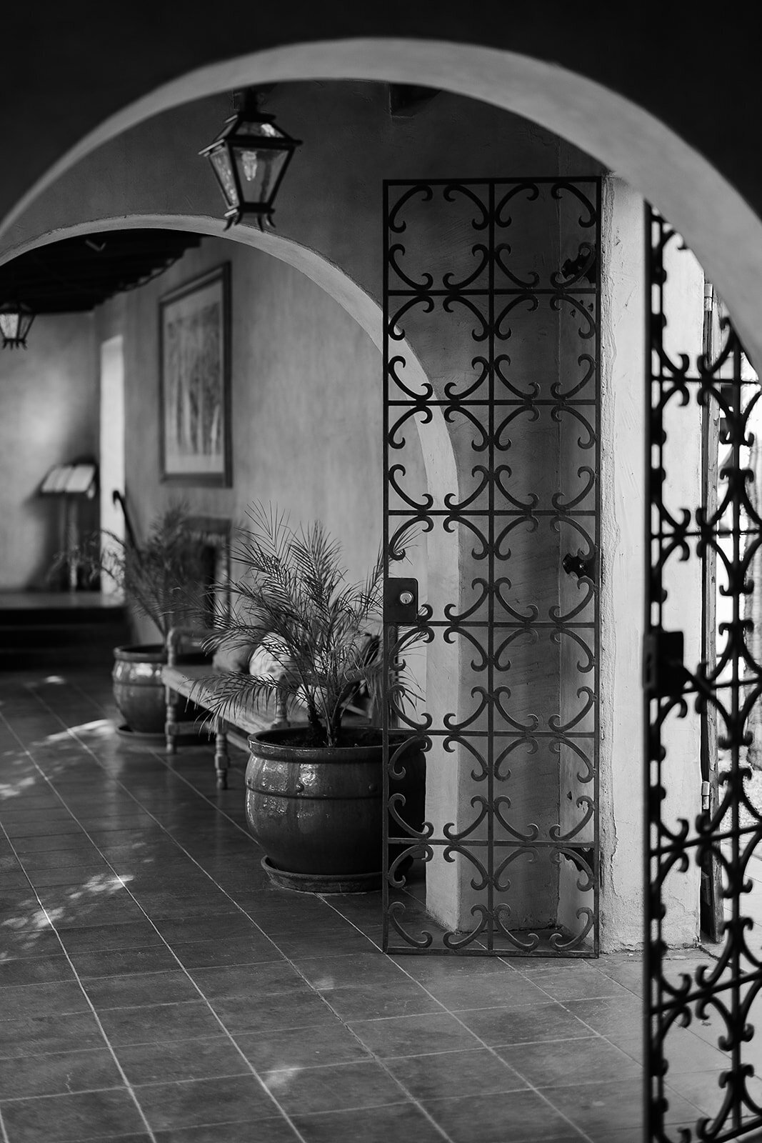 Royal Palms Wedding - Tara Nichole Photo - 2023 - Susanna and Kash-173