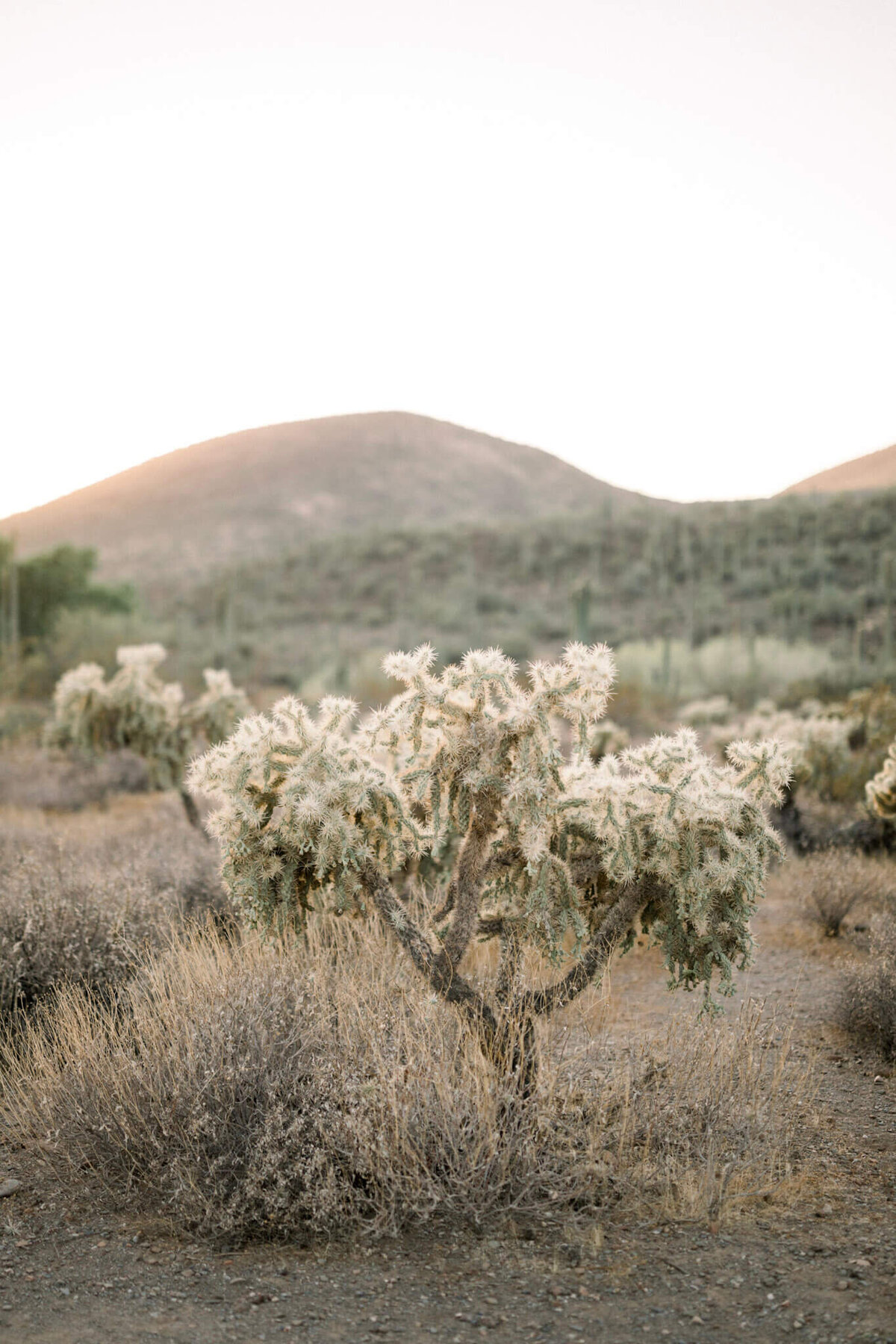 couples-photographer-scottsdale-az