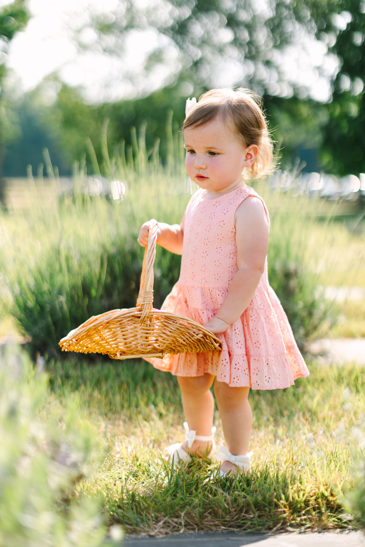 Williamsburg lavender farm photographer
