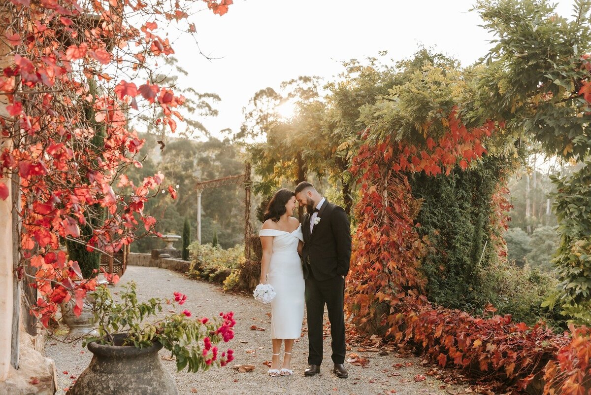 Elope-micro-wedding-elopement-melbourne-Healesville-Sanctuary04