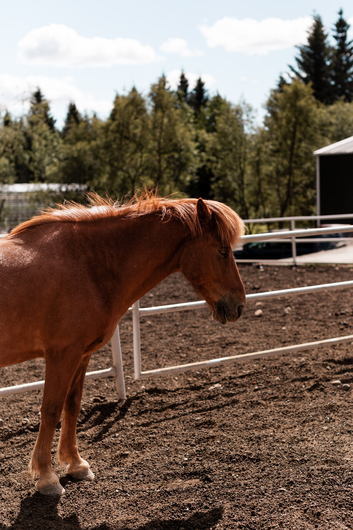 Iceland for Website-23