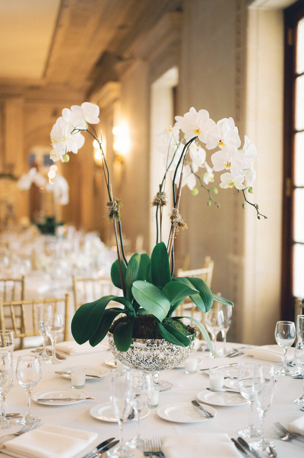 luxury-chicago-wedding-armour-house-photographer-film-hayley-moore-photography-138