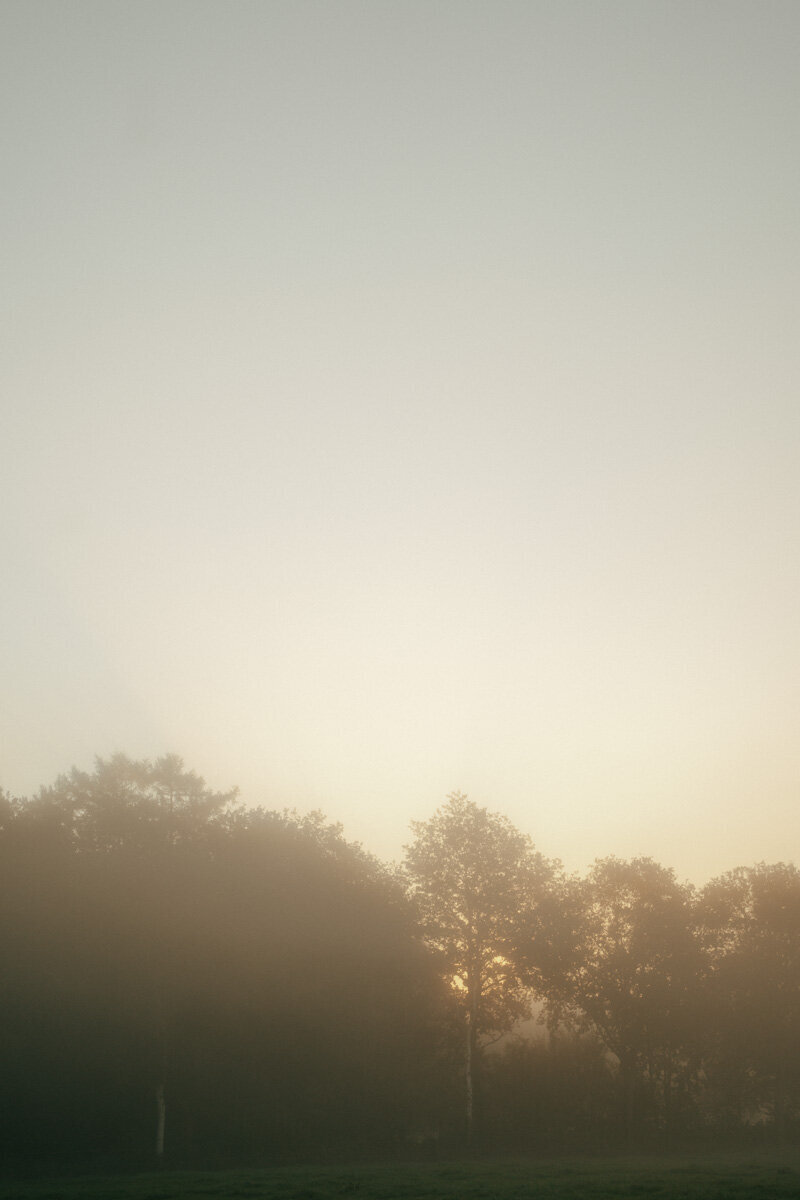 DSC03570