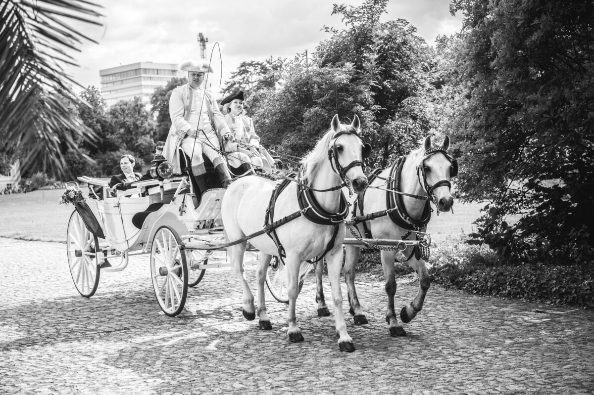 wedding-love-storytelling-epic-7