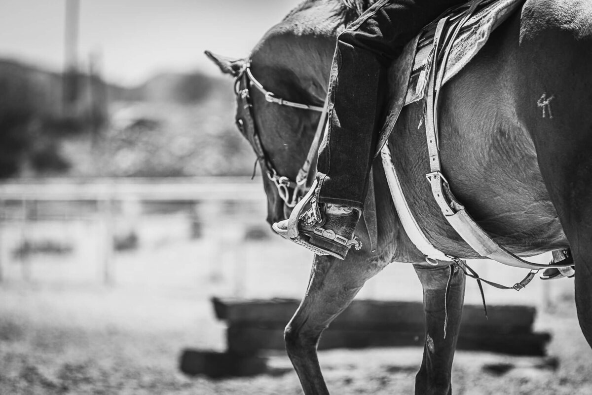 El-Paso-Texas-Horse-Show-Photographer-081