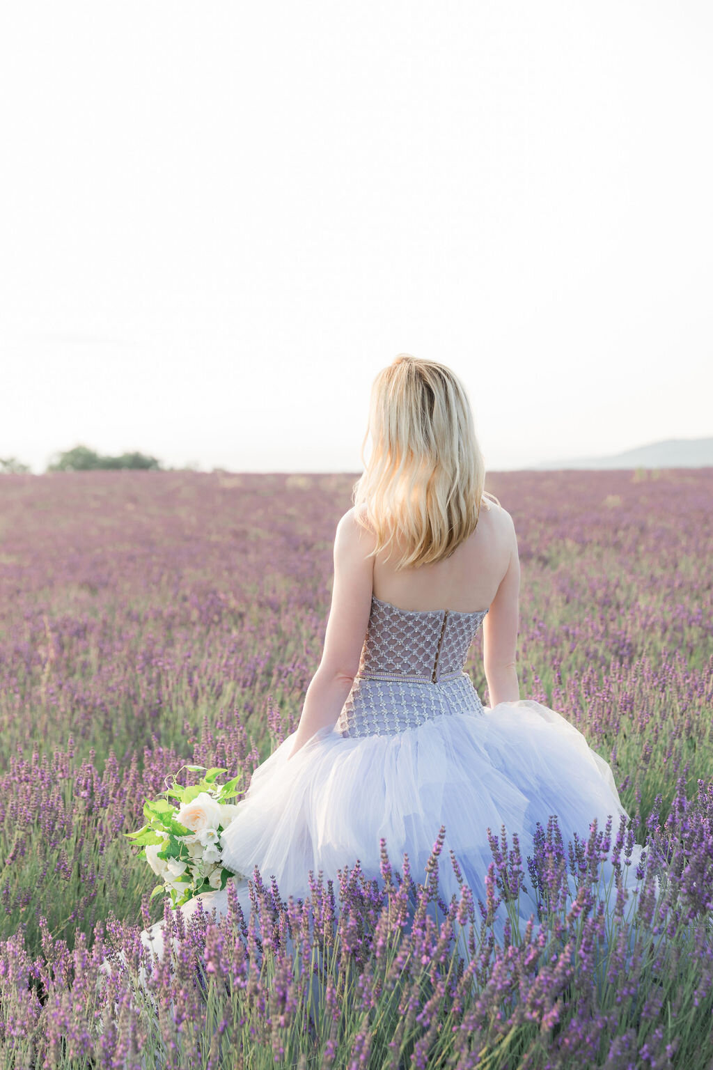 IRP-LavenderFields2024-15edit