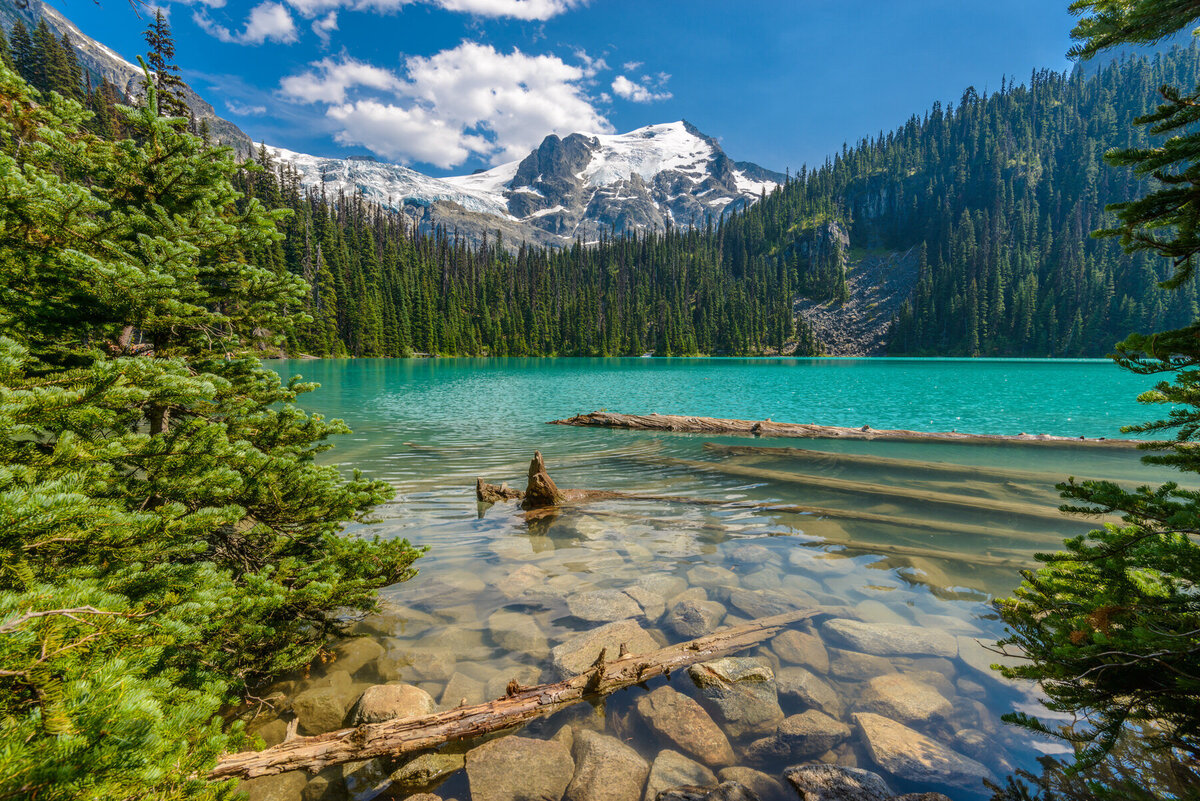 A pristine turquoise lake with clear waters and visible rocks at the shore, surrounded by dense evergreen forest. Snow-capped mountains rise in the background under a partly cloudy blue sky. Logs float near the lake's edge.