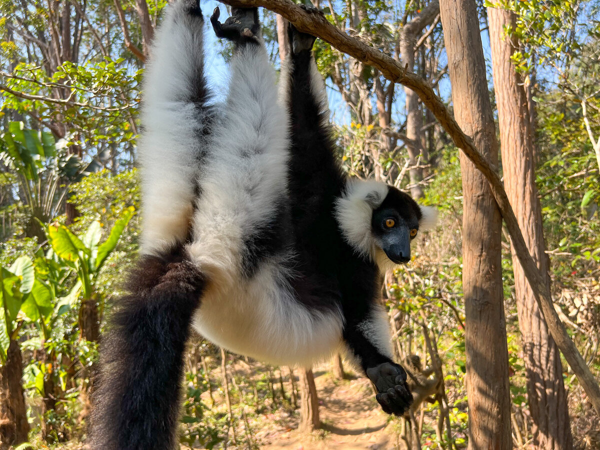 Madagascar-027