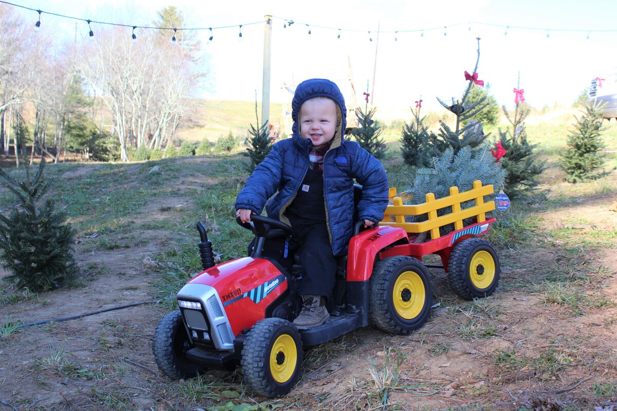 Appalachian Christmas Mountain Farms