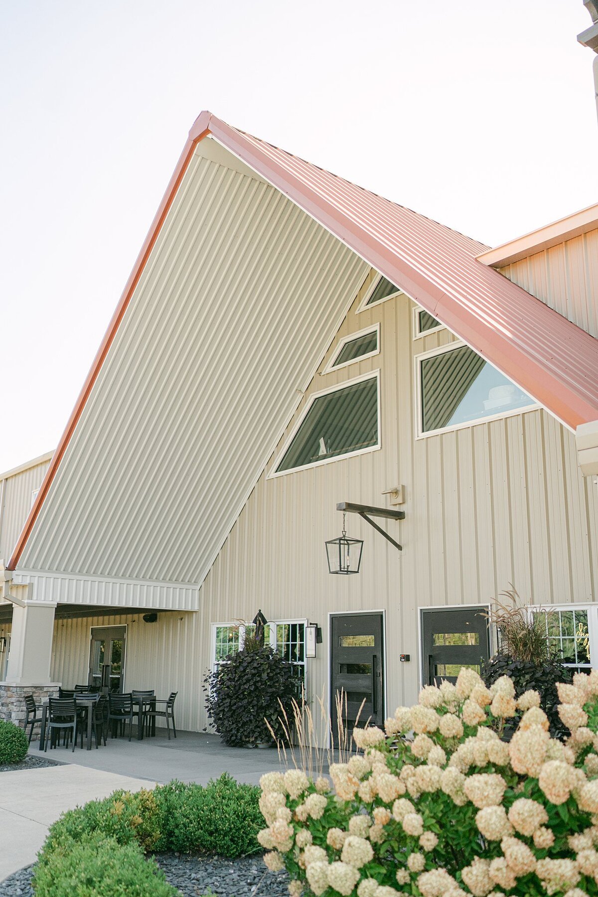 Daniel's Vineyard Wedding Alison Mae Photography_3050