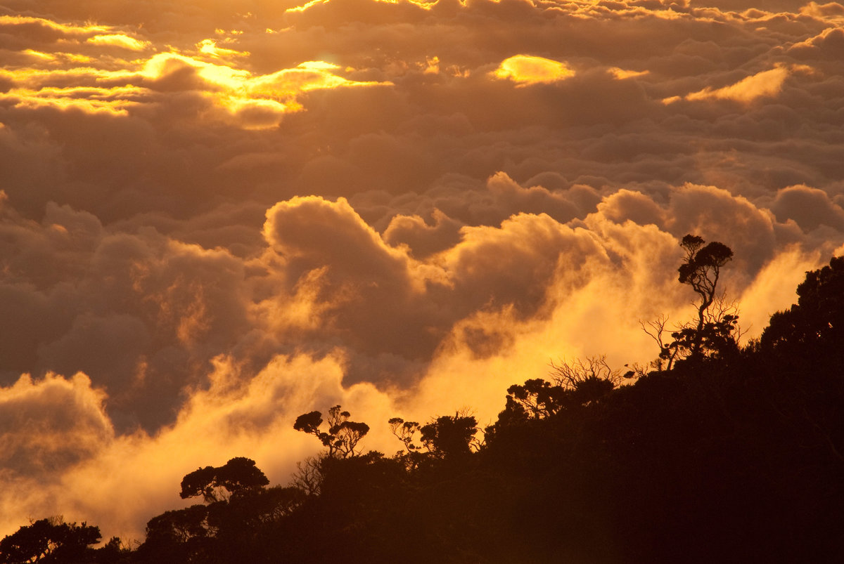 Sunset At Base Camp-Mt Kinabalu-Borneo-Karen & Brian Knutsen Photography