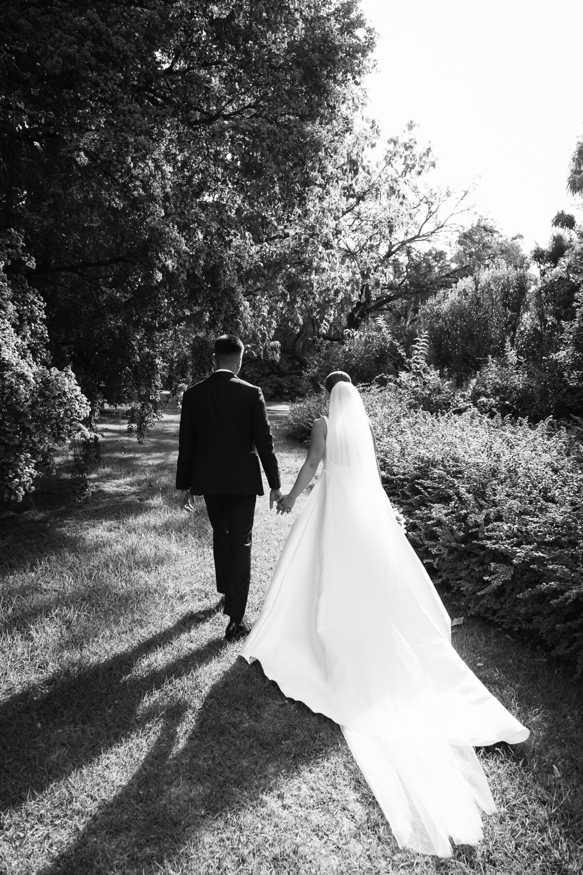 Courtney Laura Photography, Royal Botanical Gardens, The Terrace, Yarra Valley Wedding Photographer, Zoe and Sergio-251