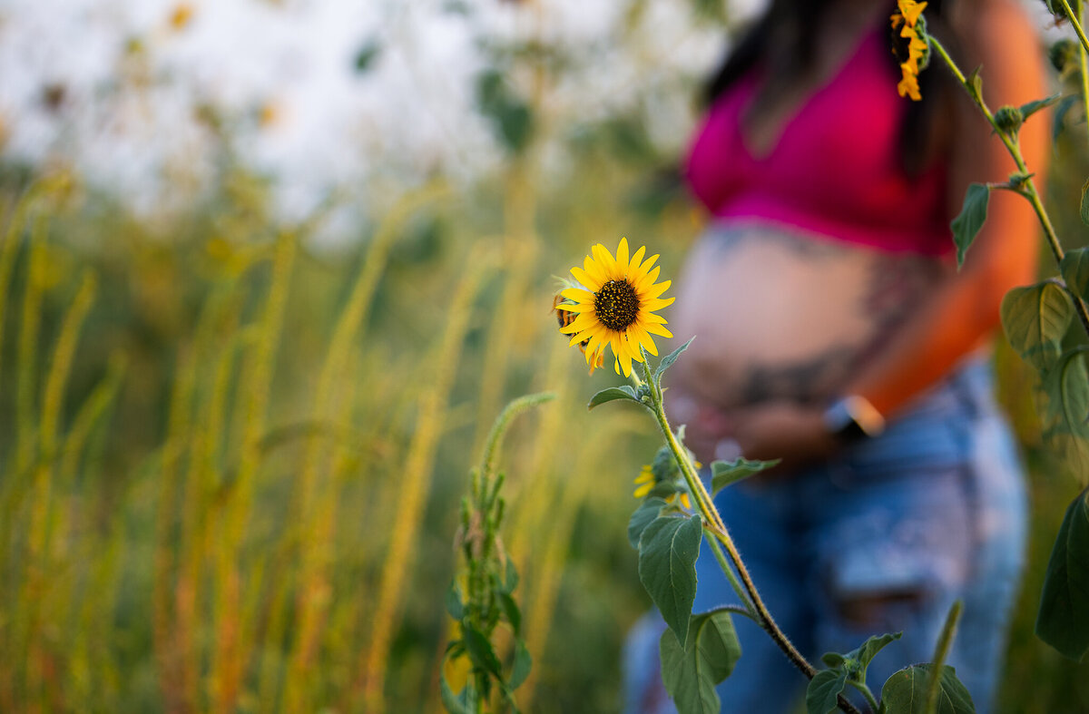 Alisha Del Toro - Maternity - Tulia - Sunflower - July 2021-110-Edit