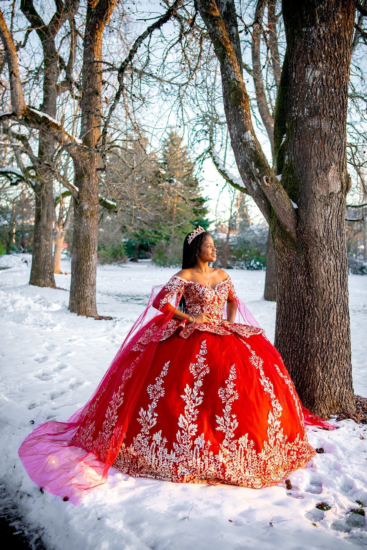 Quinceanera Dresses Lucia Isabel Collection
