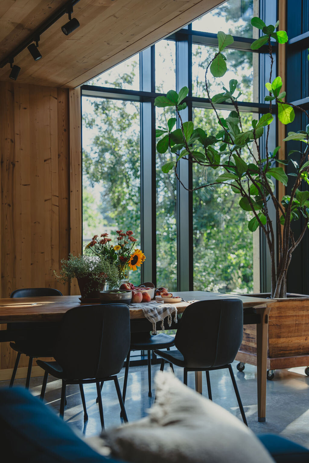 cabin inspiration