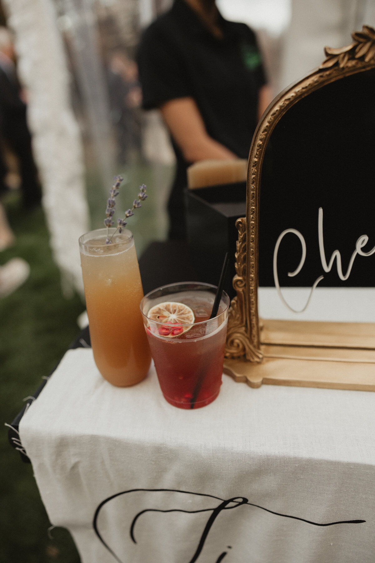 danielleandhunter_emilyarwinephotography-377