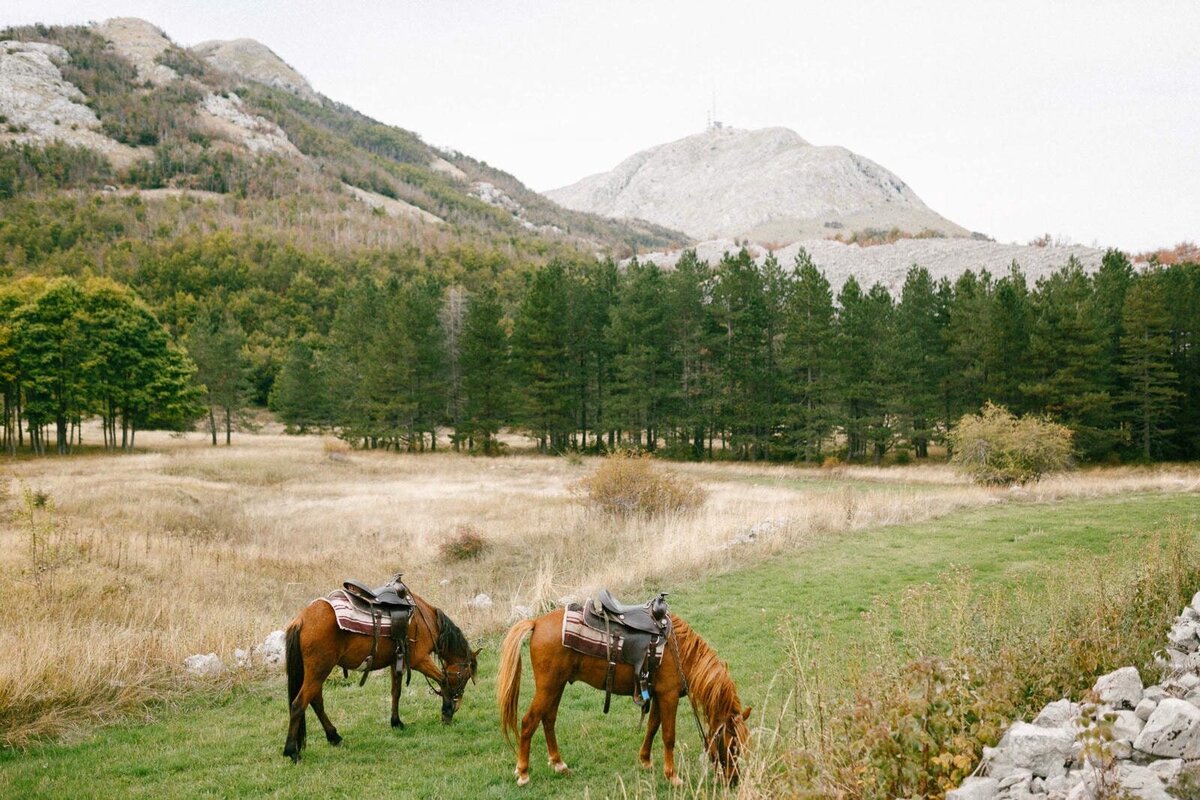 E8-Engagement-Photoshoot-In-the-mountains-with-horses-Ruslan-and-Kristina-2017-09-24-2500px-1000