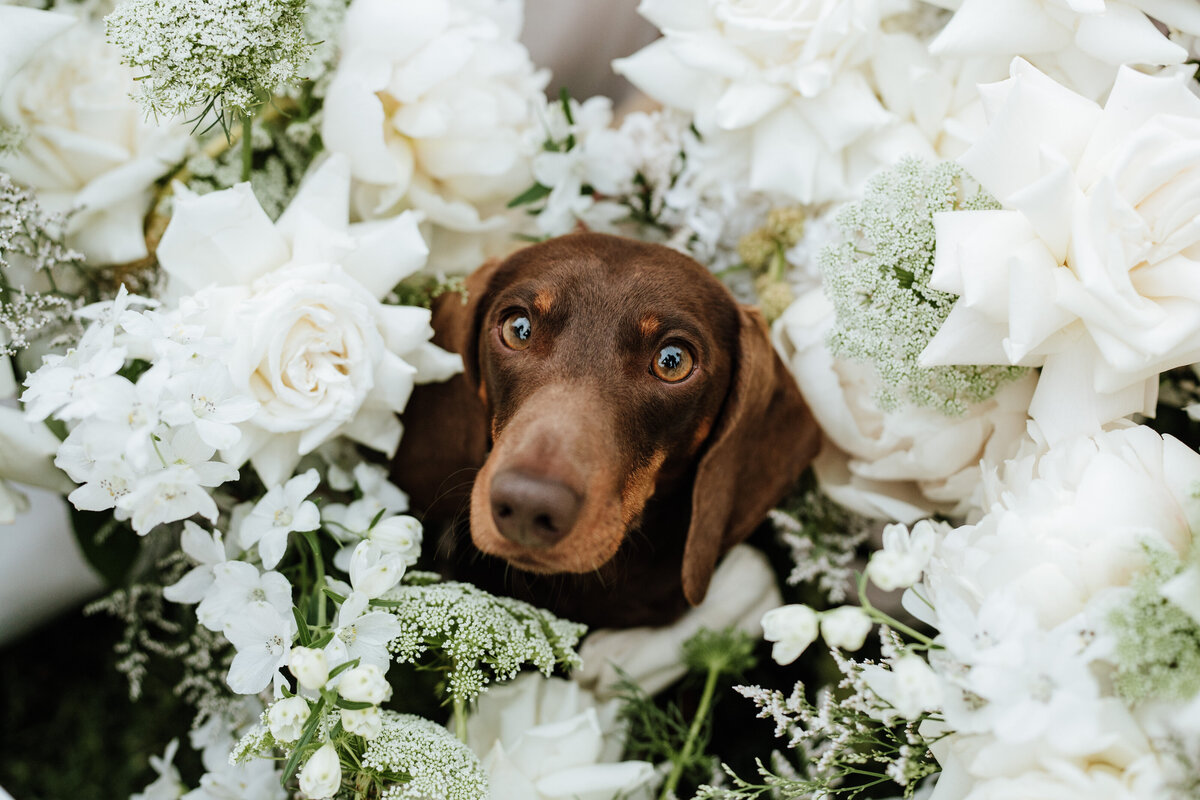 Sarah & Beau - Previews-50