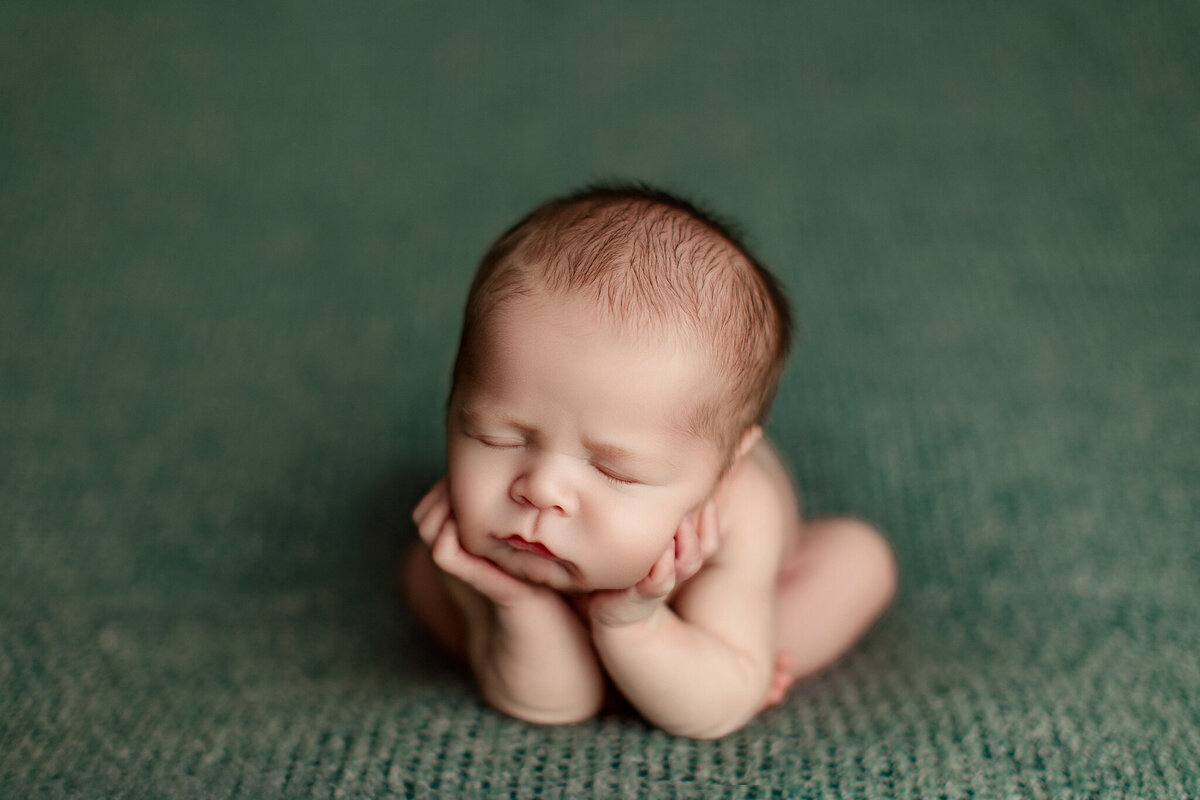 best NWA newborn portraits, newborn photoshoot near me, Northwest Arkansas newborn portrait studio, best NWA baby photographer
