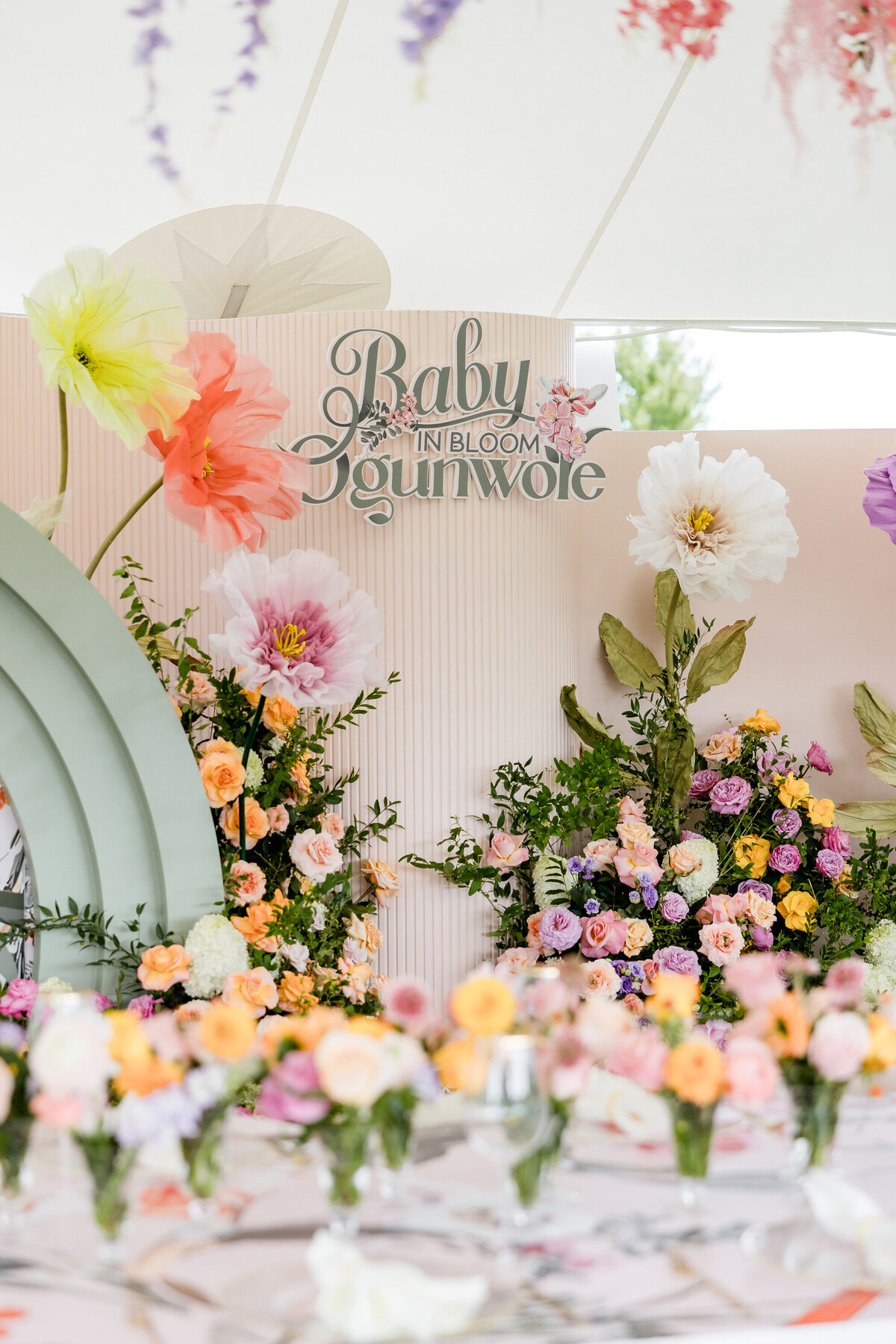 Baby in Bloom Ogunwole  Iris Mannings Photography-60