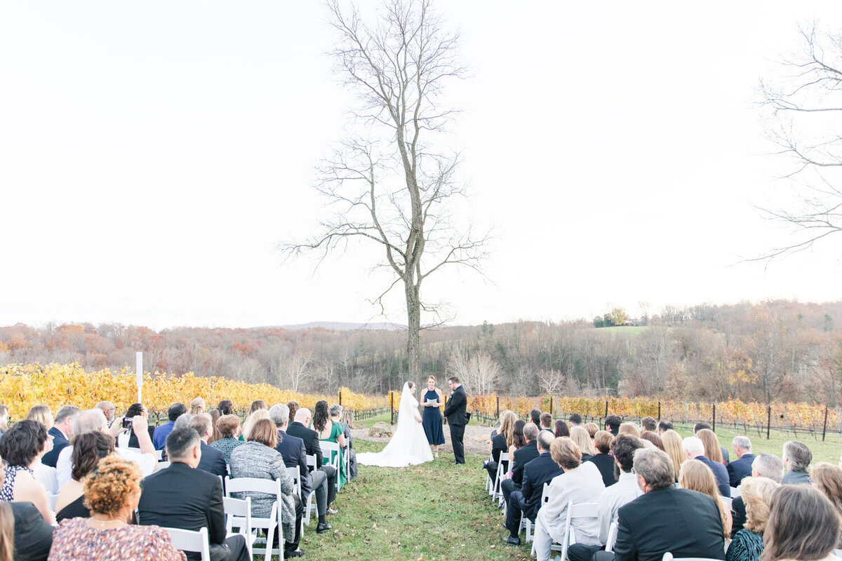 Outdoor wedding ceremony setup