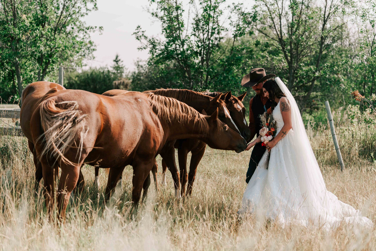 Bride and groom are facing their horses. 